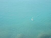 Тоскана, Марина ди Гроссето — рыбалка у молов, поплавки и спорная кефаль