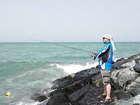 ОАЭ, береговая рыбалка Шарджа, Аджман — прилив решает, фрикцион не душить