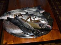 Черногория, береговая программа для отдыхающих с акцентом на реки