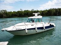 Черногория, береговая программа для отдыхающих с акцентом на реки