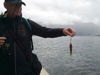 Черногория, Будва и окрест — ультралайт, пилькеры 10 г и кошка на одинарнике