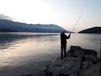 Будванские рассветы и барракуды