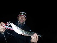 Будванские рассветы и барракуды