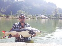 Таиландская экзотика и аропайма на 95 кг