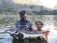 Таиландская экзотика и аропайма на 95 кг