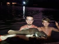 Таиландская экзотика и аропайма на 95 кг