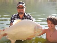 Таиландская экзотика и аропайма на 95 кг