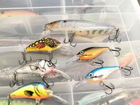 Финляндия, Nummi-Pusula — рыболовный шопинг в Lohja и платные парковки