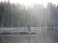 Финляндия, Nummi-Pusula — рыболовный шопинг в Lohja и платные парковки