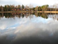 Финляндия, тактика жерлиц от окна коттеджа и про насадки