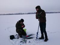 Финляндия, Рауталампи — дневной клев щуки на пятне и налим ночью на дне