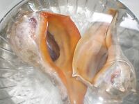 Нью-Джерси, фишинг и краббинг — пирсы, сетка для шейек и бассы с донки