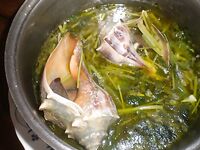 Нью-Джерси, фишинг и краббинг — пирсы, сетка для шейек и бассы с донки