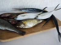 Греция, Пелопоннес — краткий отчет и без фото по правилам площадки