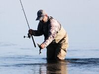 Попутчики в северную Швецию