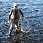 Попутчики в северную Швецию