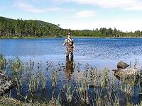 Попутчики в северную Швецию