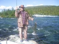 Попутчики в северную Швецию