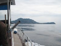 Италия, Иския — 10 дней без рыбалки, нашли капитана и ушли в троллинг