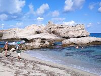 Калабрия: сбирулино, морские черви и опарыш — сарган в последний день