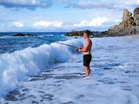 Калабрия: сбирулино, морские черви и опарыш — сарган в последний день