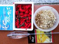 Калабрия: сбирулино, морские черви и опарыш — сарган в последний день