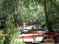 Турция: утренние попытки и форель за 30 баксов