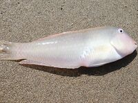 Фотоотчёт из Кемера