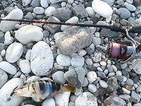 Кемер, пустая строка и ожидание клева