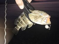 Кемер, классический джиг сработал