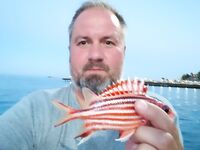 Кемер, отводной поводок и эксперименты с джигом