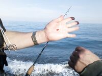 Резину объедают за секунду!