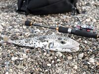 Утренние поклевки у пирса Кириш, Кемер — азарт и запреты