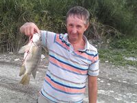 Неизвестная рыба с сиреневой мордой