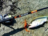 Осенний Кипр и свежие впечатления