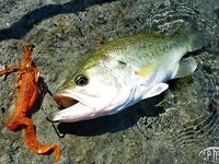 Осенний Кипр и свежие впечатления