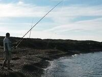 Морская рыбалка с берега, детёныш мурены и густеры