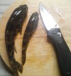 Бешеный клёв и откусанный поводок