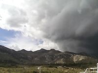 Фугу — беда Кипра