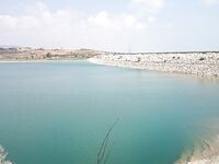 Пафос, лицензия и первые бассы