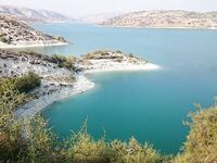 Пафос, лицензия и первые бассы