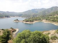 Пафос, лицензия и первые бассы