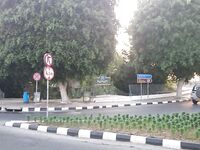 Пафос, лицензия и первые бассы