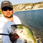 Фотка для затравки перед отчётом