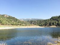 Канавью и червяк на крючке