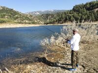 Новая порция кипрских фотографий