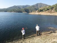 Точки и молчание вместо отчёта