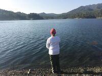 Точки и молчание вместо отчёта