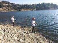 Точки и молчание вместо отчёта