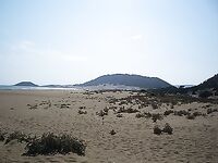 Полуостров Карпас и дикие ослы на дороге